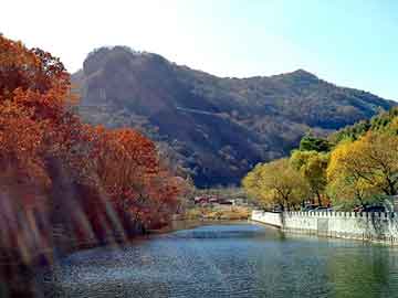 澳门精准正版免费大全14年新，汪鸿雁背景